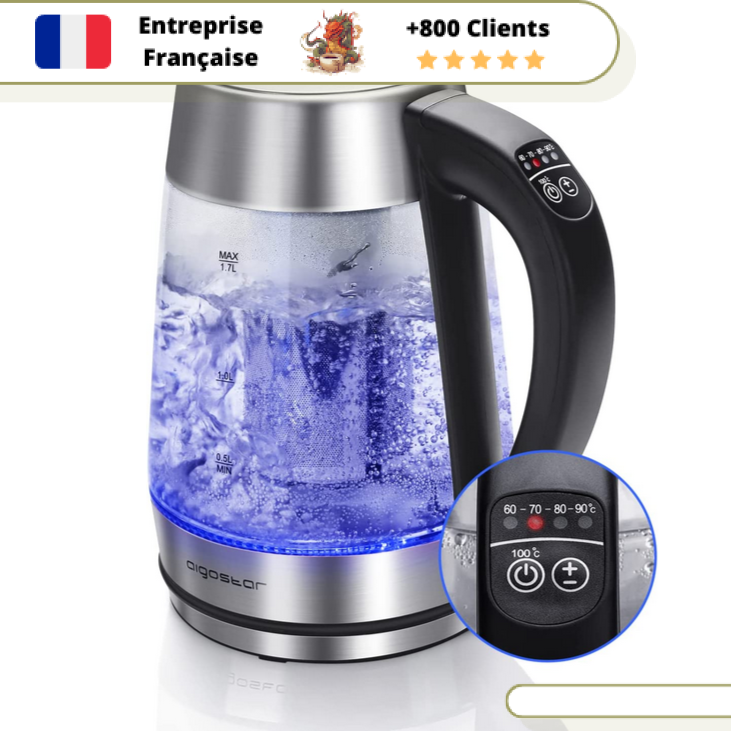 Gourmet Tea Théière électrique professionelle- Théière et Bouilloire  électrique 2 en 1 à température réglable